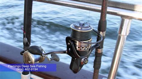flamingo deep sea fishing|Flamingo Fishing .
